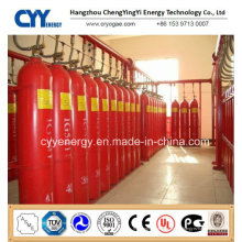 Cilindro de gas de CO2 de acero inoxidable sin soldadura con diferentes capacidades